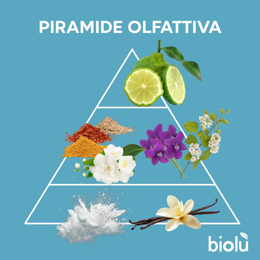 PROFUMA BUCATO COTTON CLOUD (Biolù) 100ml